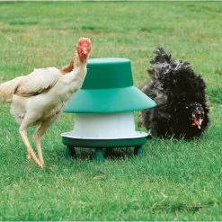 Voederautomaat Pluimvee 6 Kg -Garden Pet & Animal Winkel voederautomaat pluimvee 6 kg 1560245073 1 600