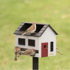 Voederhuis Met Bad, Grijs