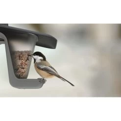 Voedersilo Duofood - Kunststof -Garden Pet & Animal Winkel voedersilo duofood kunststof 1565767973 4 600