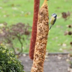 Voederslinger Mix Met Rozijnen - 750 G -Garden Pet & Animal Winkel voederslinger mix met rozijnen 750 g 1550674058 2 600