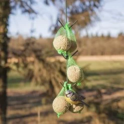 ESSCHERT DESIGN Vogelvoederhaak Met Donkergroen Dakje -Garden Pet & Animal Winkel vogelvoederhaak groen 1538483607 1 600