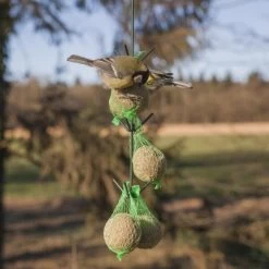 ESSCHERT DESIGN Vogelvoederhaak Met Donkergroen Dakje -Garden Pet & Animal Winkel vogelvoederhaak groen 1538483689 2 600