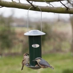 ESSCHERT DESIGN Vogelvoedersilo Voor Zaad In Metaal - Groen -Garden Pet & Animal Winkel vogelvoedersilo voor zaad groen 1484062254 3 600
