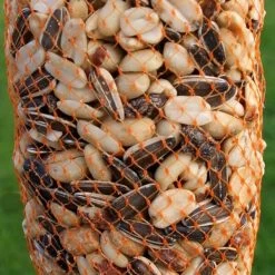 Voederslinger Mix Met Rozijnen - 750 G -Garden Pet & Animal Winkel winterkrans mix met rozijnen 750 g 1538387970 1 600