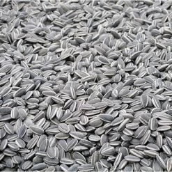 Zonnebloempitten Zwart - Ongepeld 15 Kg