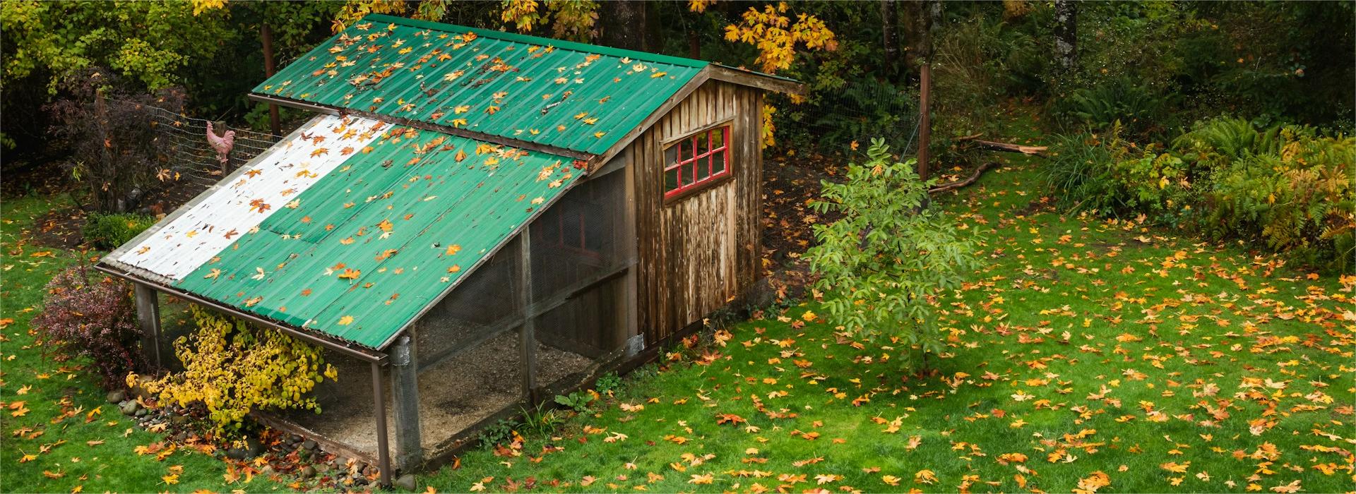 Garden Pet & Animal Winkel -Garden Pet & Animal Winkel greg rosenke gxa6RSjRoSo unsplash